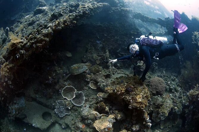 Shipwreck Diving in Tulamben - Booking details that affect your day