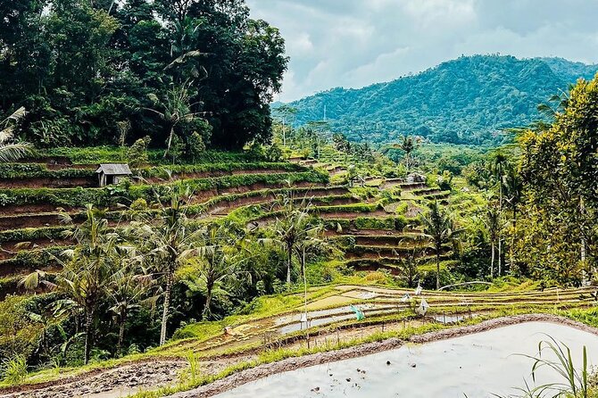 Sidemen Trekking: A Walk from a Different Perspective - Why Sidemen feels different on foot