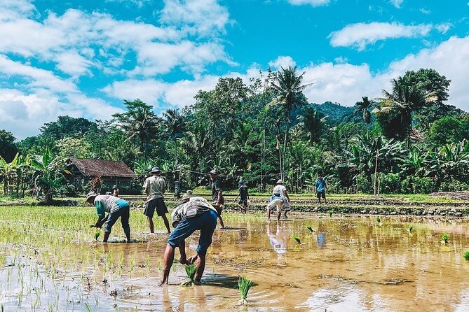 Sidemen Trekking: A Walk from a Different Perspective - Crossing the wooden bridge and village lanes