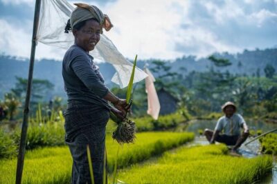 Sidemen Trekking: A Walk from a Different Perspective