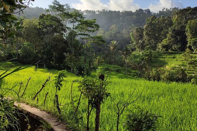 Sidemen Trekking: A Walk from a Different Perspective - The views of Mount Agung and the rice terraces