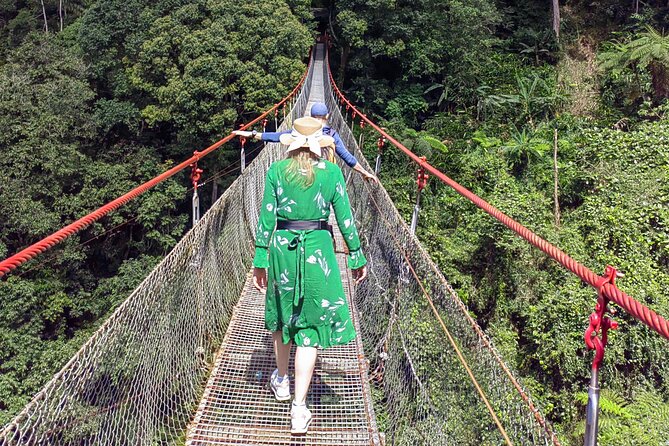 Situ Gunung Waterfall & Suspension Bridge Sukabumi start Jakarta - Wildlife, flowers, and the value of a guide