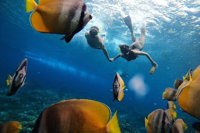 Snorkeling 3 Spots with GoPro & West Coast Tour Nusa Penida - Kelingking Beach delivers the famous view