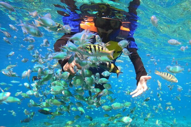 Snorkeling 3 Spots with GoPro & West Coast Tour Nusa Penida - Broken Beach and Angel’s Billabong add variety