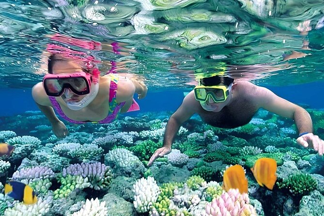 Snorkeling 4 Spot With Manta Bay Or Optional Land Trip - Four Nusa Penida stops in two hours