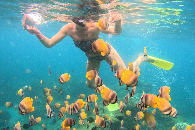 Snorkeling 4 Spot With Manta Bay Or Optional Land Trip - Wall Point and Crystal Bay add variety