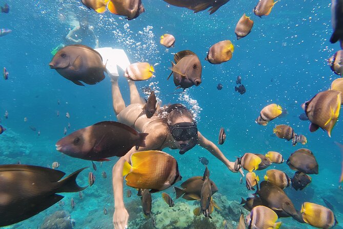 Snorkeling 4 Spot With Manta Bay Or Optional Land Trip - A guide who helps you get comfortable