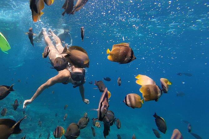 Snorkeling 4 Spot With Manta Bay Or Optional Land Trip - What the small group size changes
