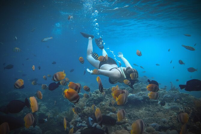 Snorkeling 4 Spots, Manta Rays, Tembeling Pool & Kelingking Beach - Tembeling Pool and Forest