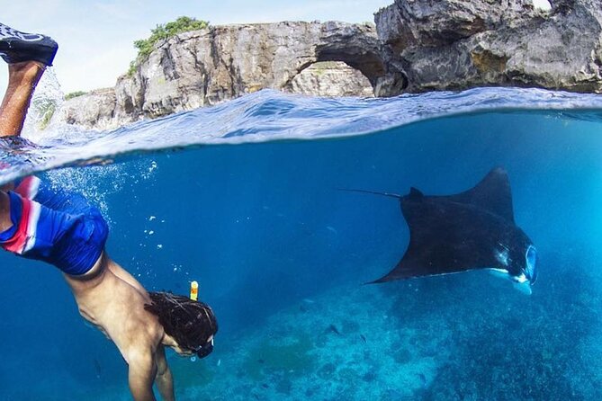 Snorkeling adventure to the manta ray habitat in Nusa Penida - Why Manta Point is the real draw