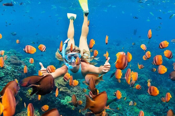 Snorkeling adventure to the manta ray habitat in Nusa Penida - Who should book this outing?