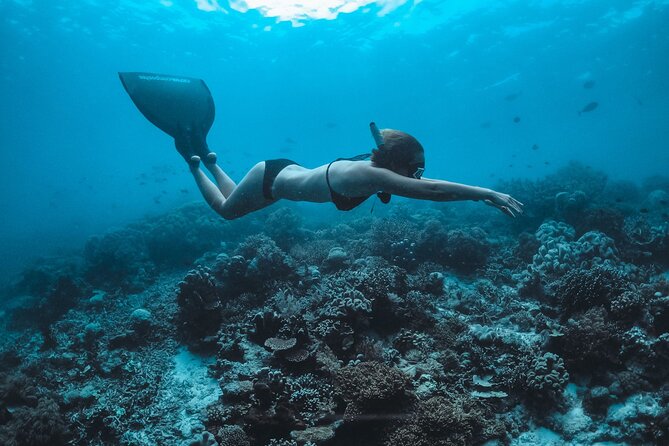 Snorkeling and Freediving Trip around Nusa Penida - Manta Point: the reason most people book