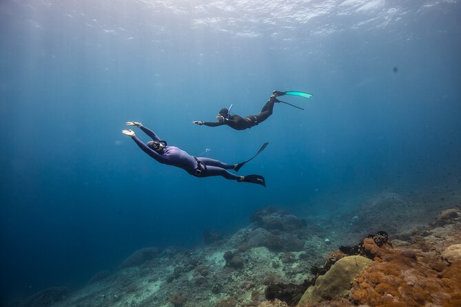 Snorkeling and Freediving Trip around Nusa Penida - What the guides and equipment add