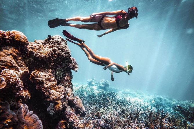 Snorkeling At Blue lagoon And Hidden waterfall - What the private setup adds