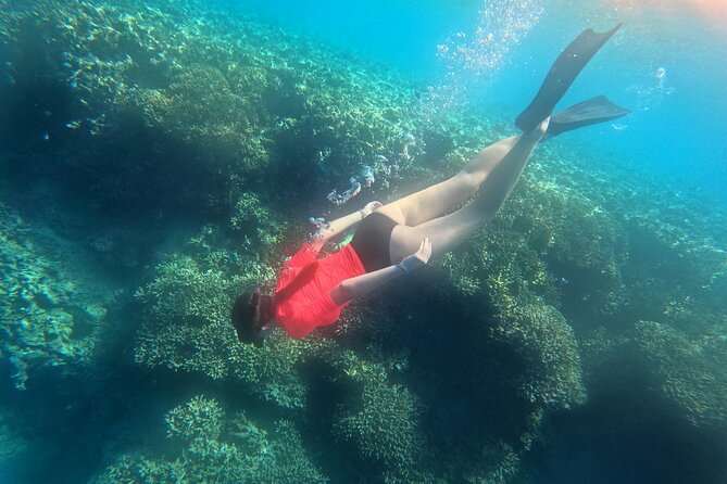 Snorkeling at Menjangan Island Bali Hidden Underwater Gem - Why Menjangan Island is worth the effort