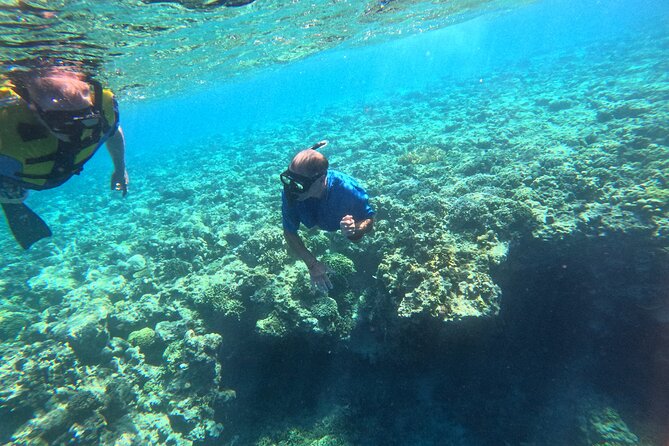 Snorkeling at Menjangan Island Bali Hidden Underwater Gem - Stop one: Menjangan Island’s coral gardens