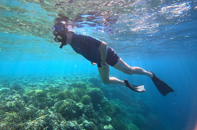 Snorkeling at Menjangan Island Bali Hidden Underwater Gem - Stop two: reef walls and a second snorkeling site
