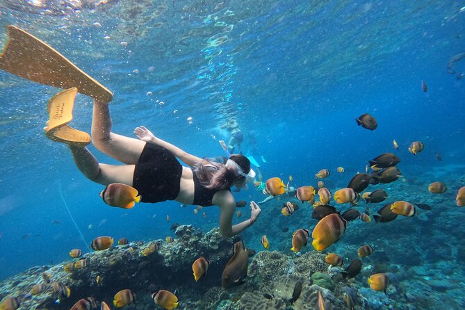 Snorkeling Day Trip To Lembongan and Penida - Serangan Port makes the Bali departure an early start