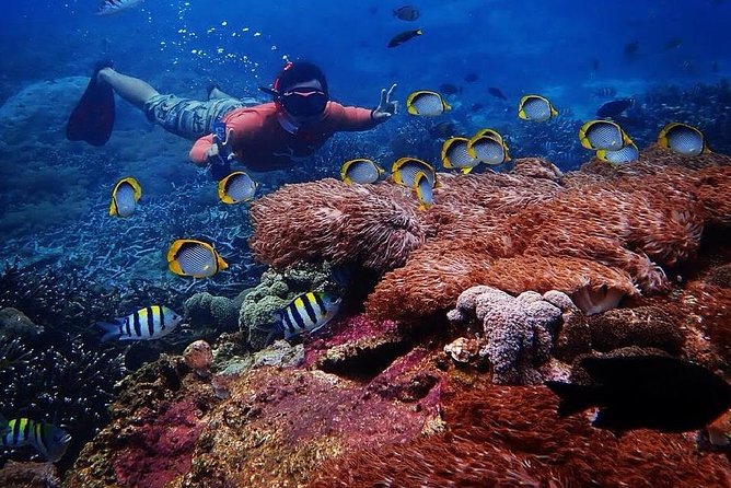 Snorkeling Day Trip To Lembongan and Penida - Welcome snacks at Lembongan Watersport