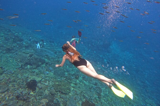 Snorkeling Day Trip to Nusa Lembongan and Nusa Penida - Chasing manta rays off Nusa Penida