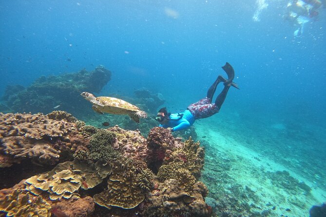 Snorkeling Day Trip to Nusa Lembongan and Nusa Penida - What the water time is really like