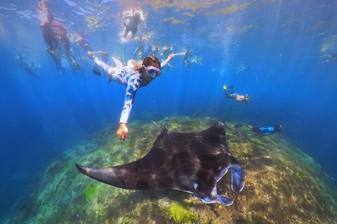 Snorkeling Day Trip to Nusa Lembongan and Nusa Penida - Is $42.55 good value?