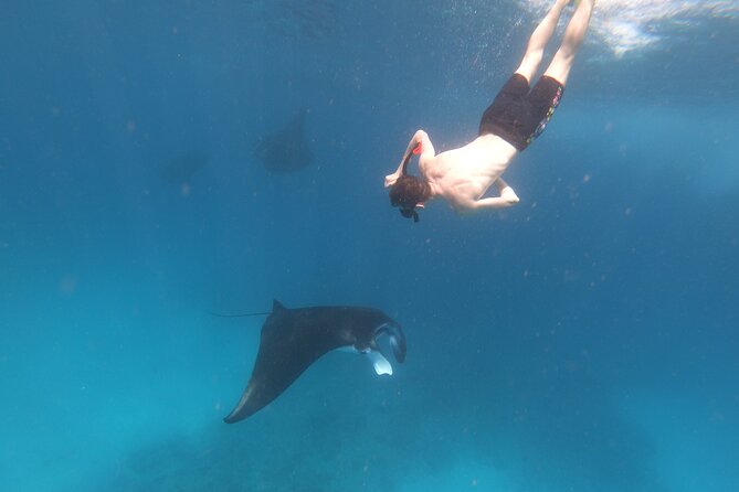 Snorkeling Day Trip to Nusa Lembongan and Nusa Penida - Practical details worth checking
