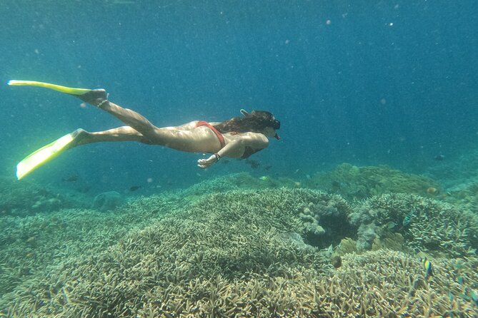 Snorkeling Day Trip to Nusa Lembongan and Nusa Penida - From Serangan to Lembongan by fast boat