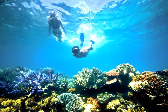Snorkeling in Blue Lagoon Padang Bai Bali : Snorkel in the clear blue waters - What the Blue Lagoon outing really offers