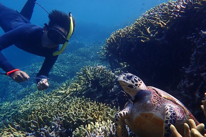 Snorkeling in Menjangan Island with Pickup and Lunch - The group size and guide service