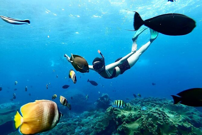Snorkeling In Nusa Penida And Uluwatu Sunset Tours - The early run from Kuta to Nusa Penida