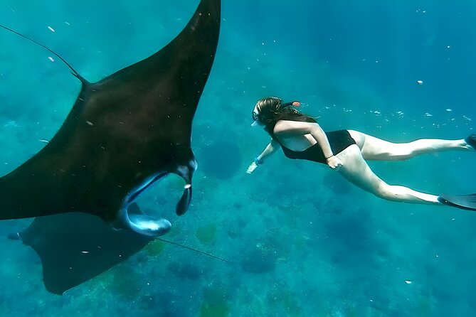 Snorkeling In Nusa Penida Departing From Bali Island - What the $104.50 price really buys