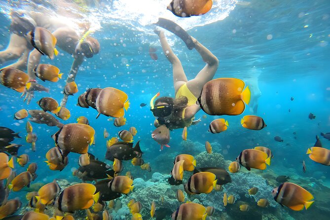 Snorkeling In Nusa Penida Departing From Bali Island - Crossing the Bali Strait by public speedboat
