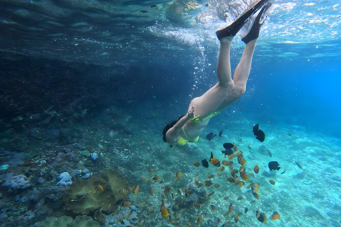 Snorkeling In Nusa Penida Departing From Bali Island - Crystal Bay and the manta question