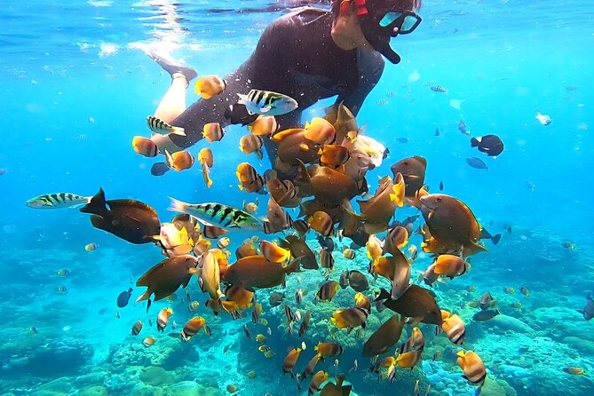 Snorkeling In Nusa Penida Departing From Bali Island - Wall Point and the final snorkeling stops