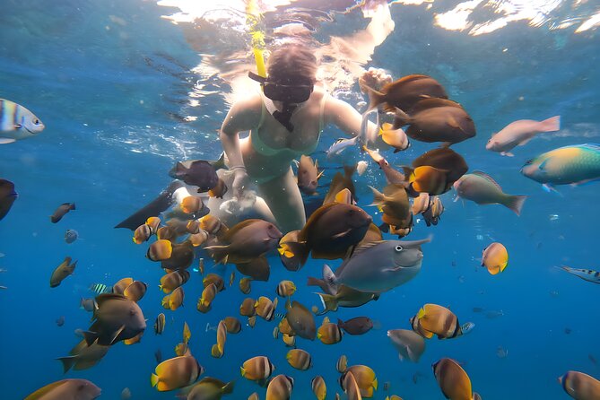 Snorkeling In Nusa Penida Departing From Bali Island - Morning or afternoon: choose carefully