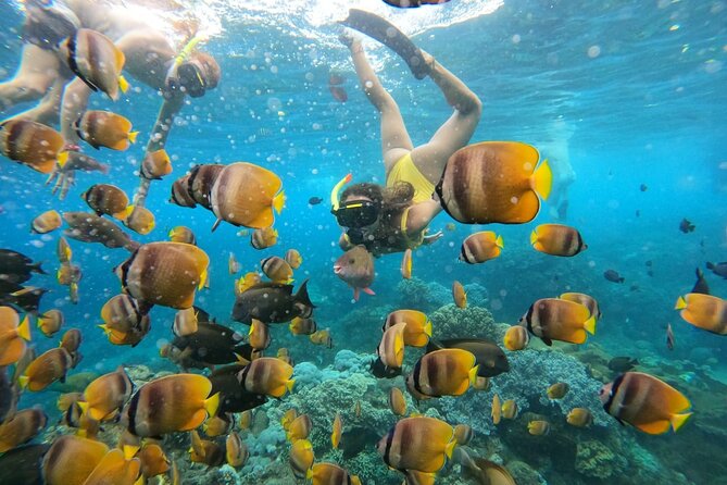 Snorkeling In Nusa Penida Island With Manta Ray From Bali - What the price covers at $95
