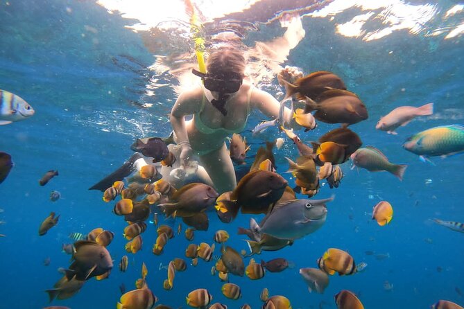 Snorkeling In Nusa Penida Island With Manta Ray From Bali - Gamat Bay: a quieter first look at the water