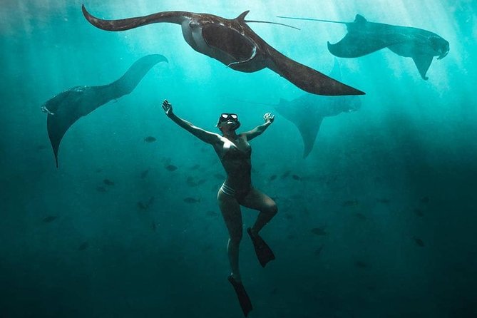 Snorkeling Manta Ray Safari in Nusa Penida - Manta rays set the pace at Nusa Penida
