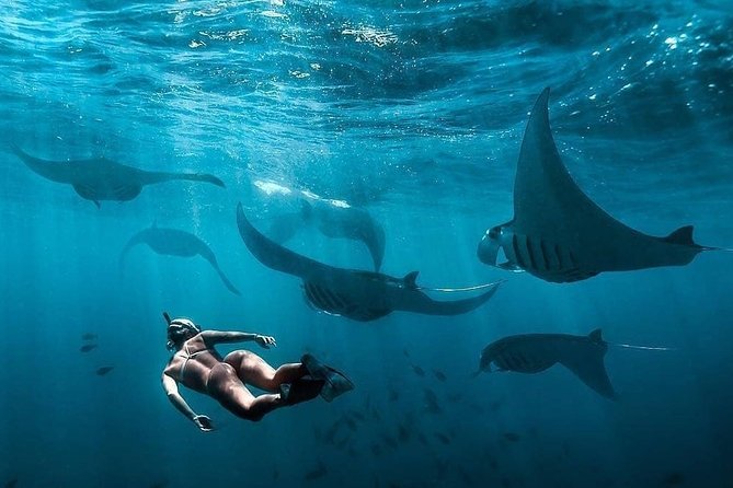 Snorkeling Manta Ray Safari in Nusa Penida - Toyapakeh and the first minutes on the boat