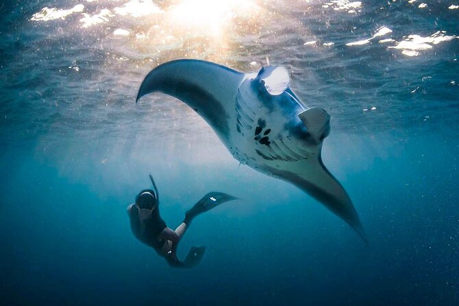 Snorkeling Manta Ray Safari in Nusa Penida - Crystal Bay Beach and the changing conditions