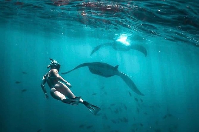 Snorkeling Manta Ray Safari in Nusa Penida - Gamat Bay for coral, fish, and a calmer pace