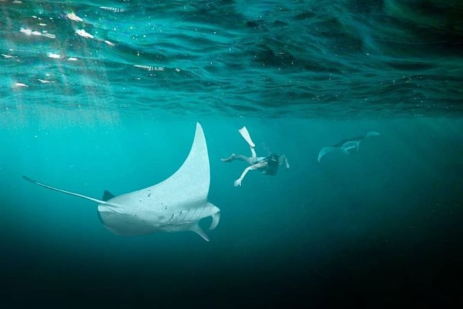 Snorkeling Manta Ray Safari in Nusa Penida - Why the underwater photos matter