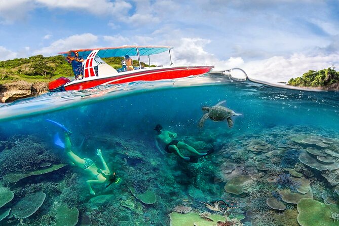 Snorkeling Manta Ray Safari in Nusa Penida - Manta Bay: the main reason to book