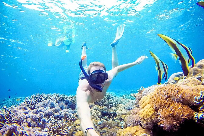 Snorkeling Nusa Penida and Island Tour Package - From Seminyak to Sanur, then across to Nusa Penida
