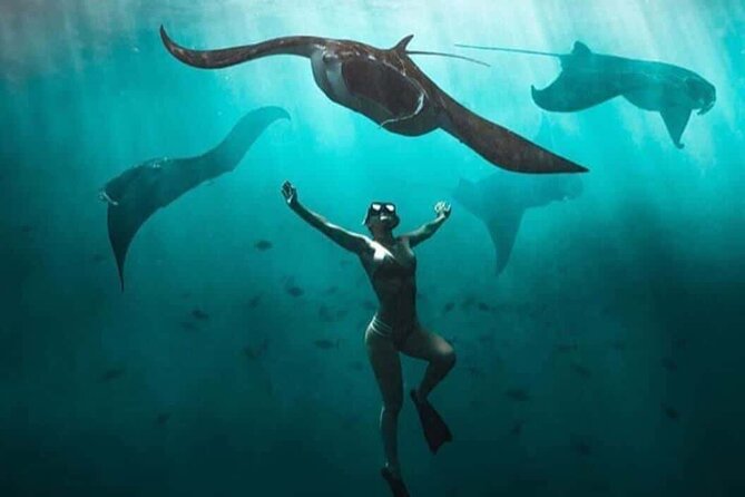 Snorkeling Nusa Penida and Island Tour Package - Who will enjoy this long island day?