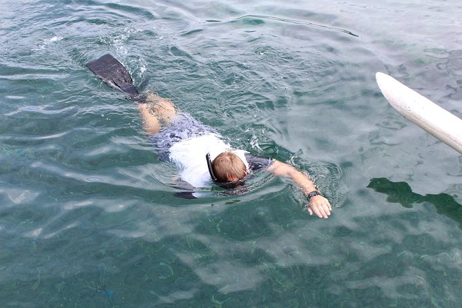 Snorkeling Tour at Blue Lagoon with Private Hotel Transfer - Two Padang Bai reefs in one morning or afternoon