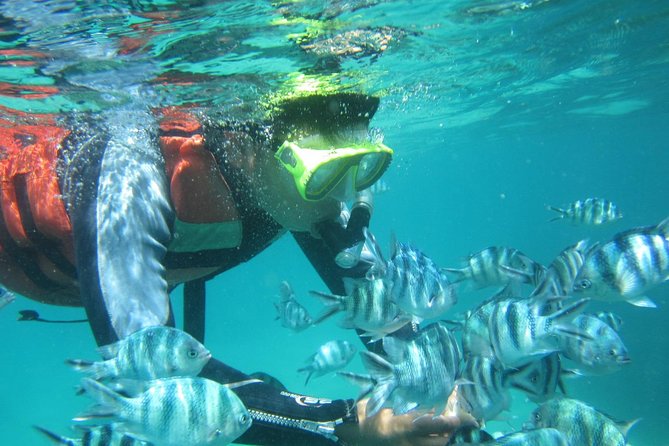 Snorkeling Tour at Blue Lagoon with Private Hotel Transfer - Is $45.70 a fair price?
