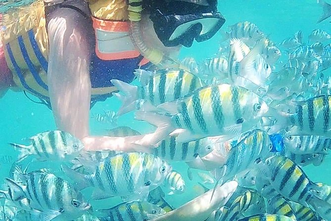 Snorkeling Tour In Gili Islands Pick Up From Lombok Or Gili - Three islands in one short morning