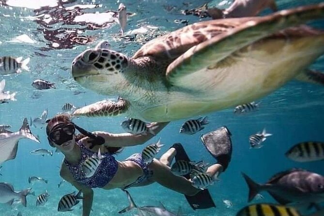 Snorkeling Tour In Gili Islands Pick Up From Lombok Or Gili - The guide and the value of a private outing